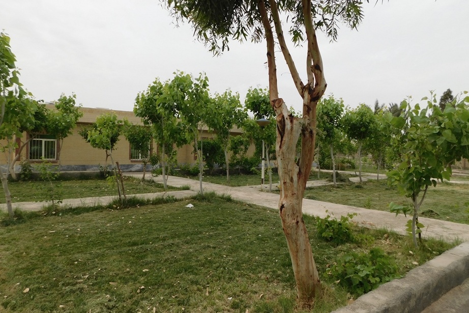 فضای سبز مرکز