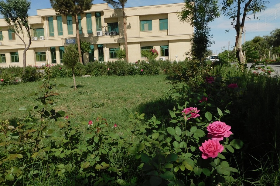فضای سبز مرکز