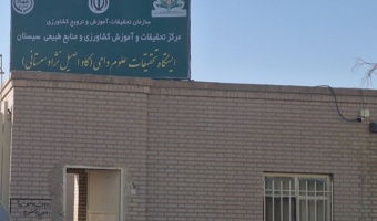 احیای نژاد گاو اصیل سیستانی گامی مهم برای حفظ ذخایر ژنتیکی کشور