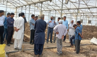 برگزاری دوره آموزش کاربردی و عملی در حوزه بسترهای کاشت محصولات گلخانه ای در سیستان