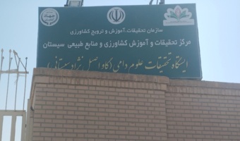 ایستگاه تحقیقات دام زهک؛ تکیهگاه احیای نژاد اصیل گاو سیستانی و ثبات اجتماعی منطقه