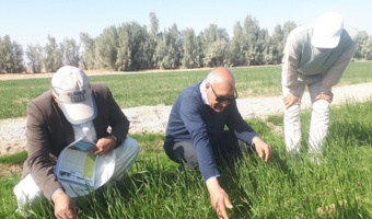 برگزاری دوره آموزشی تخصصی مبارزه با علف هرز دم ماری با رویکزد علمی پژوهشی در منطقه ریگچاه