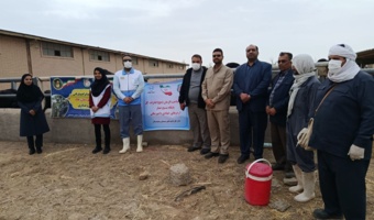 اردوی جهادی دامپزشکی در دهه فجر حفاظت از گاو اصیل سیستانی ،ذخیره ژنتیکی منطقه