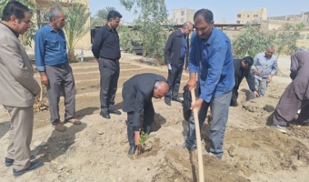 غرس درخت به مناسبت روز درختکاری در مرکز تحقیقات و آموزش کشاورزی و منابع طبیعی سیستان