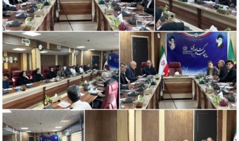 برگزاری جلسه ستاد برداشت غلات و دانههای روغنی در سازمان جهاد کشاورزی استان