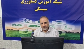 برگزاری دوره آموزشی مدیریت برداشت و پس از برداشت گلرنگ