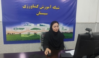 برگزاری دوره آموزشی مدیریت بیماری بوتهمیری؛ در گلخانه و جالیز