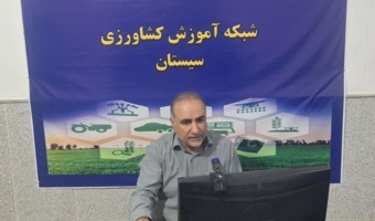 برگزاری دوره تخصصی «اصول کشت و انتخاب رقم در زراعت کنجد» در بستر شبکه آموزش کشاورزی (شاک)