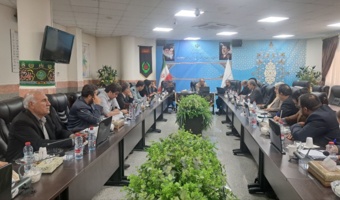تأکید رئیس مرکز بر تکمیل زنجیره ارزش گاو سیستانی در نشست بررسی اجرای سند توسعه استان