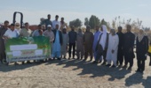 برگزاری دوره نخصصی  آماده سازی بستر و ضد عفونی بذر گندم در هیرمند
