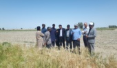 تطبیق الگوی کشت با شرایط اقلیمی ، دوره آموزشی تغییر الگوی کشت و ارقام جو