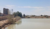 آبگیری استخرهای ذخیره آب ایستگاه تحقیقات و آموزش کشاورزی ومنابع طبیعی زهک، نقشی کلیدی در تامین آب پایدار و بهبود درآمد