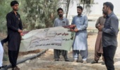 برگزاری دوره ترویجی آموزشی «آشنایی با ضدعفونی بستر گلخانه»