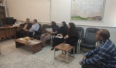 برنامهریزی برای استقرار مزارع الگویی در شهرستان زابل با هدف انتقال دانش فنی به عرصه تولید