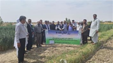 برگزاری مراسم روز انتقال یافته‌های گلرنگ علوفه‌ای در ایستگاه تحقیقات زهک