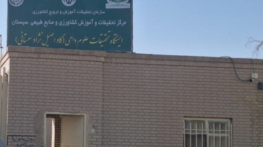 احیای نژاد گاو اصیل سیستانی گامی مهم برای حفظ ذخایر ژنتیکی کشور