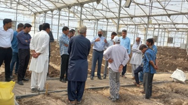 برگزاری دوره آموزش کاربردی و عملی در حوزه بسترهای کاشت محصولات گلخانه ای در سیستان