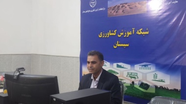 برگزاری دوره آموزشی زراعت شلغم در استان سیستان و بلوچستان