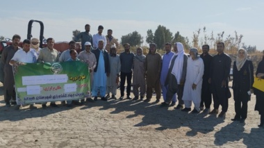 برگزاری دوره نخصصی  آماده سازی بستر و ضد عفونی بذر گندم در هیرمند