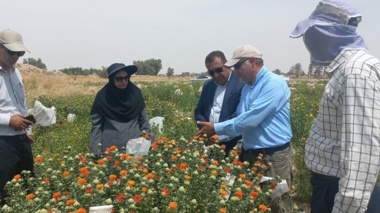 بازدید رئیس پژوهشکده کشاورزی پژوهشگاه زابل و رئیس جهاد کشاورزی زهک از ایستگاه تحقیقات و آموزش کشاورزی و منابع طبیعی زهک