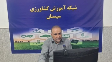 برگزاری دوره تخصصی «اصول کشت و انتخاب رقم در زراعت کنجد» در بستر شبکه آموزش کشاورزی (شاک)
