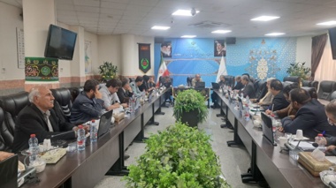 تأکید رئیس مرکز  بر تکمیل زنجیره ارزش گاو سیستانی در نشست بررسی اجرای سند توسعه استان