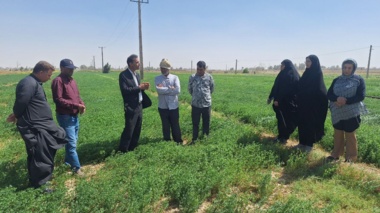 برگزاری دوره آموزشی آمادگی بستر کشت یونجه و معرفی گیاهان علوفه‌ای متحمل به شوری در زهک